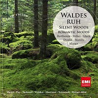 Various  Artists – Waldesruh / Silent Woods: Romantic Moods