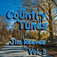 Přední strana obalu CD Country Tunes, Vol. 3