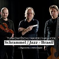 Nikolai Tunkowitsch, Bertl Mayer, Peter Havlicek – Schrammel und die Jazz via Brasil