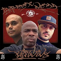 Igor Admc, Big Twins, Nema – Went Through