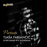 Přední strana obalu CD Portraits