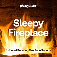 Sleepy Baby Sounds – Sleepy Fireplace [1 Hour of Relaxing Fireplace Sounds]