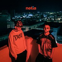 DDOT, Duczak, Malarz – NETIA