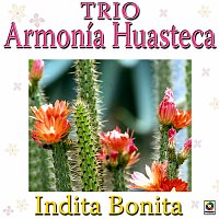 Trío Armonia Huasteca – Indita Bonita