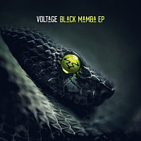 Přední strana obalu CD Black Mamba