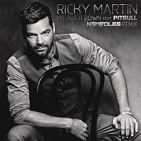 Ricky Martin, Pitbull – Mr. Put It Down ((Noodles Remix)[Dub Mix])