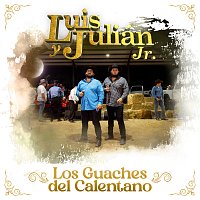 Luis Y Julián Jr. – Los Guaches Del Calentano [En Vivo]