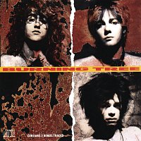 Přední strana obalu CD Burning Tree