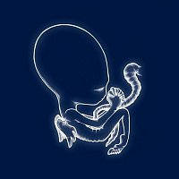 Sigur Rós – Ágaetis byrjun