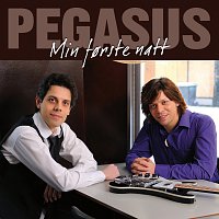 Pegasus – Min forste natt