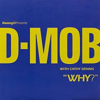 D-Mob – Why? (with Cathy Dennis)