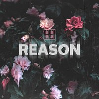11 – Reason