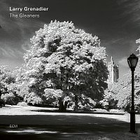 Larry Grenadier – The Gleaners