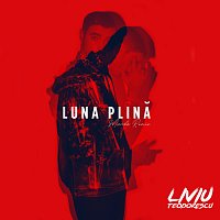 Liviu Teodorescu – Lună Plină [Manda Remix]