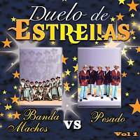 Various Artists.. – Pesado vs Banda Machos Vol. 1