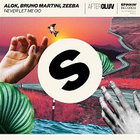Alok, Bruno Martini, Zeeba – Never Let Me Go