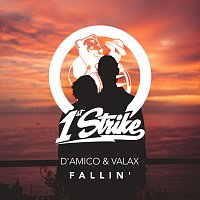 D'Amico & Valax – Fallin'