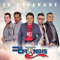 Grupo Bryndis – Te Esperaré [En Vivo]