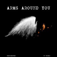 DJ Boomin – Arms Around You