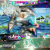 Přední strana obalu CD Dolphin Cum