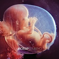 MoTrip – Embryo
