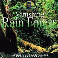 Steve Quinzi – Vanishing Rain Forest