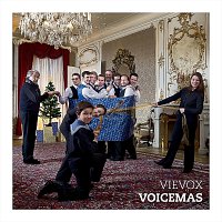 VieVox – VoiceMas