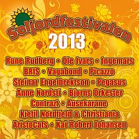 Přední strana obalu CD Seljordfestivalen 2013