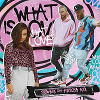 Showtek, Theresa Rex – What Is Love