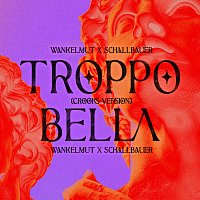 Wankelmut, Schallbauer – Troppo Bella [Crooks Version]