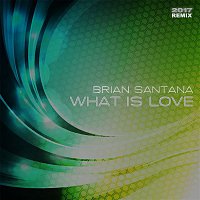 Přední strana obalu CD What Is Love 2017 (Remix)