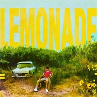 Přední strana obalu CD Lemonade