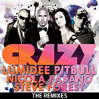 Pitbull featuring Lumidee – Crazy - The Remixes