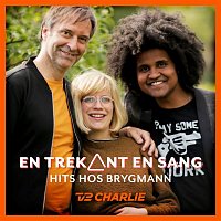 Various  Artists – En Trekant En Sang 4 - Hits Hos Brygmann