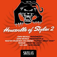 Různí interpreti – Houseville of Skylax, Vol. 2