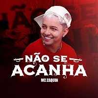 Mc Zaquin, Gabriel Tadeu – Nao Se Acanha