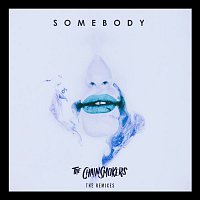 The Chainsmokers & Drew Love – Somebody - Remixes