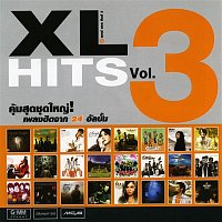 Přední strana obalu CD XL HITS 3