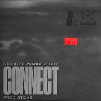 Sticks, Zwangere Guy – Connect