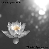 The Experiment – Blissful Ignorance