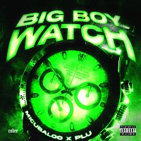 Přední strana obalu CD BIGBOYWATCH