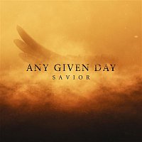 Any Given Day – Savior