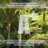 A+ Study Music: Nature Sounds for Studying - Nature's Music for Studying and Easy Learning, Vol. 7