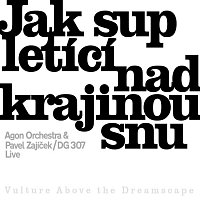 Agon Orchestra, Pavel Zajíček, DG 307 – Jak sup letící nad krajinou snu FLAC
