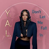 Y.A.L. – Don't Let Me Fall In