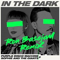 Přední strana obalu CD In The Dark (Ron Basejam Remix)