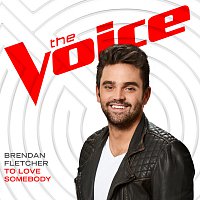 Brendan Fletcher – To Love Somebody [The Voice Performance]
