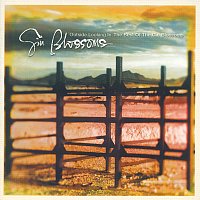 Gin Blossoms – Outside Looking In: The Best Of The Gin Blossoms