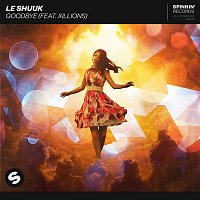 le Shuuk – Goodbye (feat. Xillions) [Extended Mix]