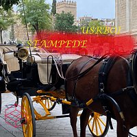 Přední strana obalu CD Stampede